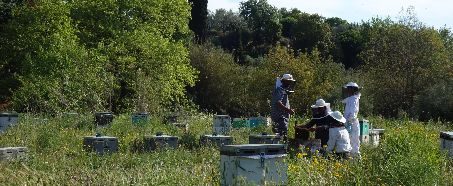 People working outdoors in a field monitoring context.