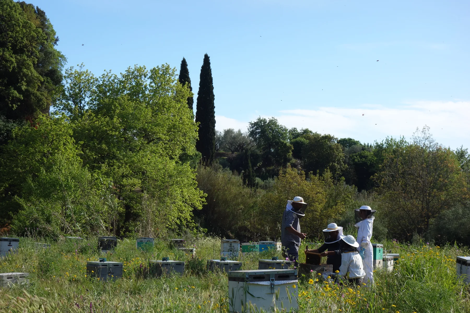 Researchers and land users in field collaboration.